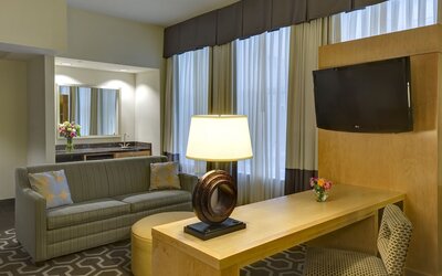 Hampton Inn & Suites New Orleans Downtown (French Qtr Area)