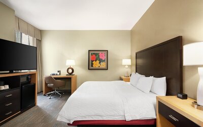 Hampton Inn & Suites New Orleans Downtown (French Qtr Area)