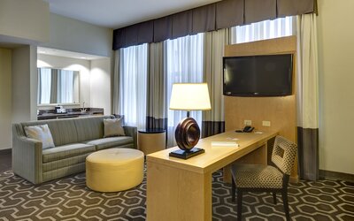 Hampton Inn & Suites New Orleans Downtown (French Qtr Area)