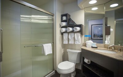 Hampton Inn & Suites New Orleans Downtown (French Qtr Area)