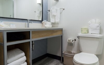 Hilton Garden Inn Atlanta Marietta