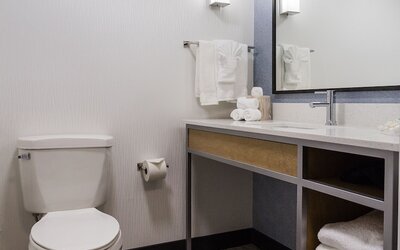 Hilton Garden Inn Atlanta Marietta