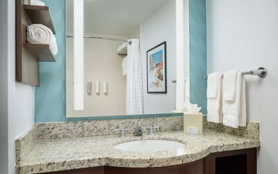 Hilton Garden Inn Atlanta Midtown