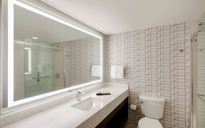 Embassy Suites by Hilton Atlanta Perimeter Center