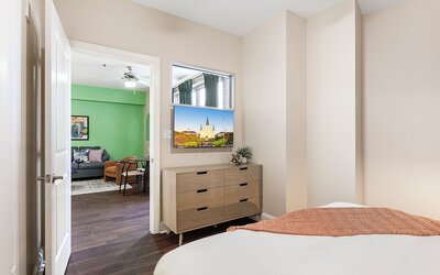 Spacious Modern Condos near French Quarter