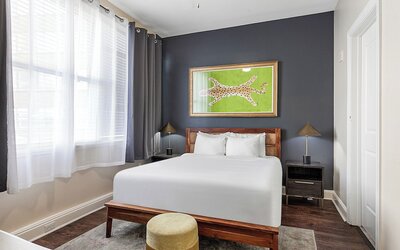 Spacious Modern Condos near French Quarter