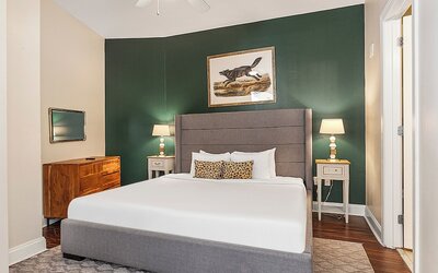 Spacious Modern Condos near French Quarter