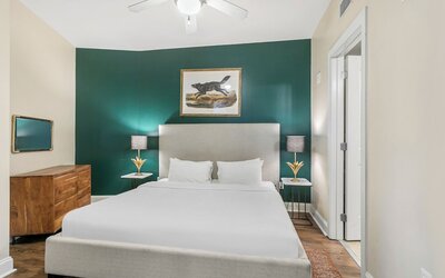 Spacious Modern Condos near French Quarter