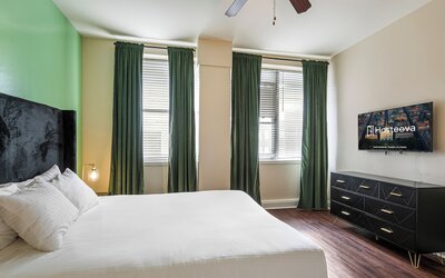 Spacious Modern Condos near French Quarter