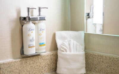 Holiday Inn Nashville - Vanderbilt (Dwtn) by IHG