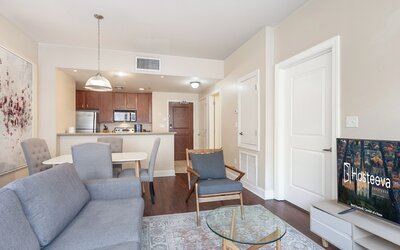 Spacious Modern Condos near French Quarter