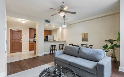 Spacious Modern Condos near French Quarter