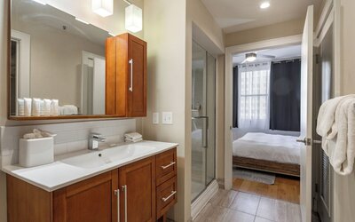 Spacious Modern Condos near French Quarter
