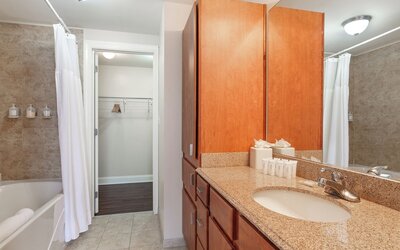 Spacious Modern Condos near French Quarter