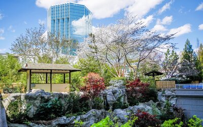 Grand Hyatt Atlanta in Buckhead