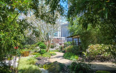 Grand Hyatt Atlanta in Buckhead