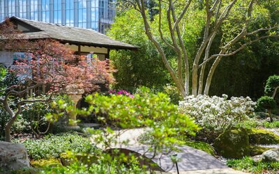 Grand Hyatt Atlanta in Buckhead
