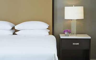 Hyatt Regency Atlanta Perimeter at Villa Christina