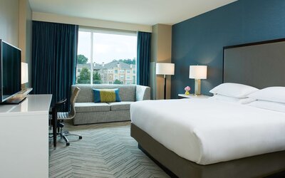 Hyatt Regency Atlanta Perimeter at Villa Christina