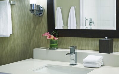 Hyatt Regency Atlanta Perimeter at Villa Christina
