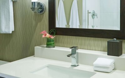 Hyatt Regency Atlanta Perimeter at Villa Christina