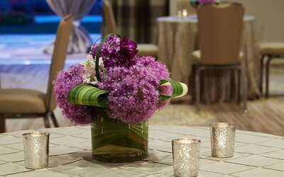 Hyatt Regency Atlanta Perimeter at Villa Christina
