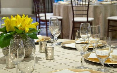 Hyatt Regency Atlanta Perimeter at Villa Christina