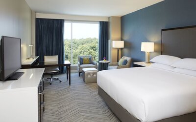 Hyatt Regency Atlanta Perimeter at Villa Christina