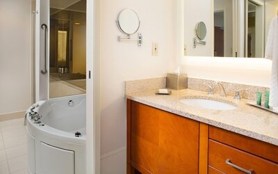 Wyndham Atlanta Perimeter