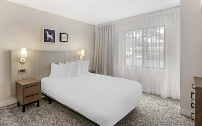 Sonesta ES Suites Austin The Domain Area