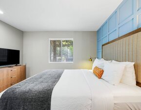 Newly Renovated Atlanta Gem Central Buckhead Apt