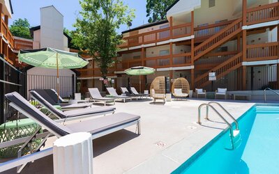 Newly Renovated Atlanta Gem Central Buckhead Apt