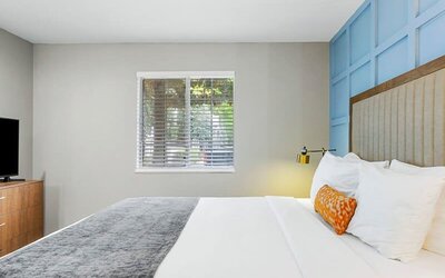 Newly Renovated Atlanta Condo Prime Buckhead Atl