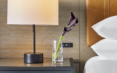 Hyatt Regency Atlanta Downtown