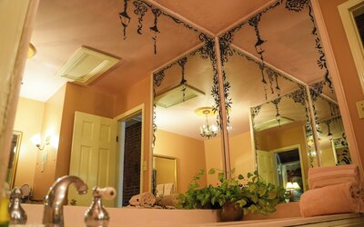 The Olivier House Hotel