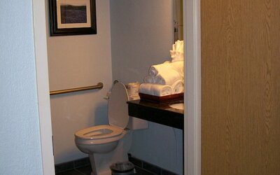 Wyndham Garden Hotel Austin