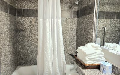 Wyndham Garden Hotel Austin