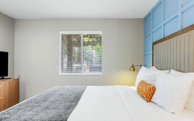 Chic Condo Retreat in Central Buckhead Atlanta