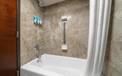 Drury Plaza Hotel New Orleans