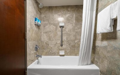 Drury Plaza Hotel New Orleans