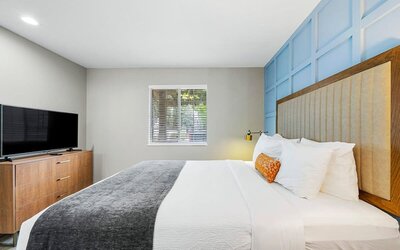 Modern Urban Oasis in Prime Buckhead Atlanta