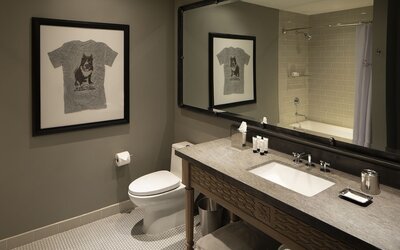 Hotel ZaZa Austin