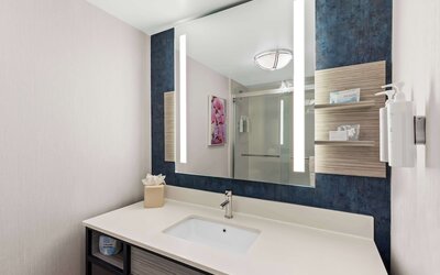 Hilton Garden Inn Atlanta Airport North