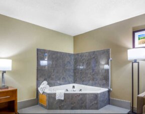 Comfort Inn Ottawa