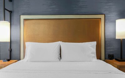 Hampton Inn & Suites Austin Downtown