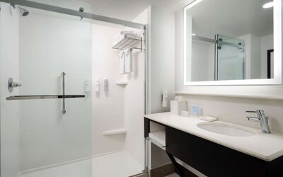 Hampton Inn & Suites Austin Downtown