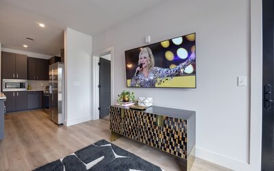 Nashville Hideaway-odyssey-heart of Midtown