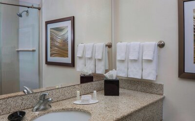 Courtyard by Marriott New Orleans Near the French Quarter