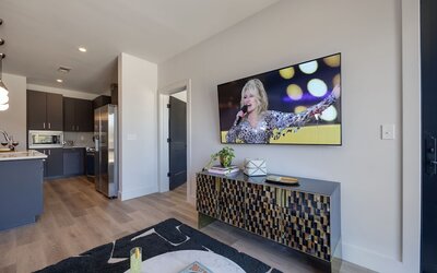 Nashville Hideaway-odyssey-heart of Midtown