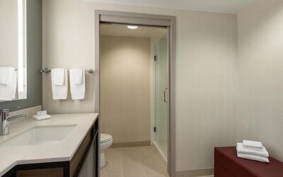 Hilton Garden Inn Atlanta Downtown